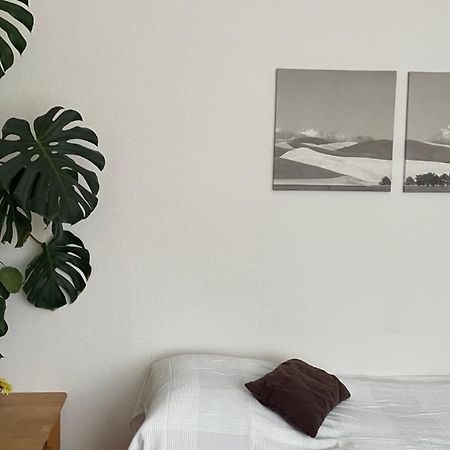 Fewo Oberhausen-Alstaden Оберхаузен Екстериор снимка